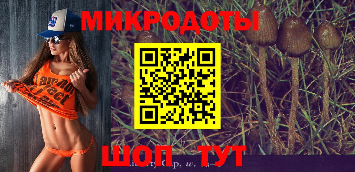Галлюциногенные грибы GOLDEN TEACHER  где можно купить наркотик  Севастополь  Вход с VPN 